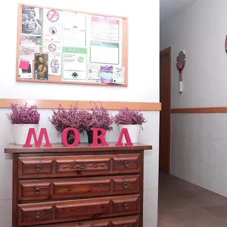 Mora Pensionat *