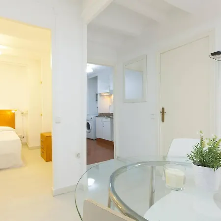 Apartment Studio Mozart Center