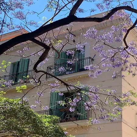 Appartement Center