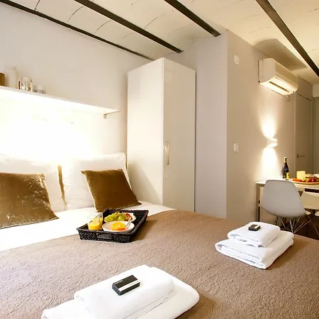 Appartement Borne Down Town *