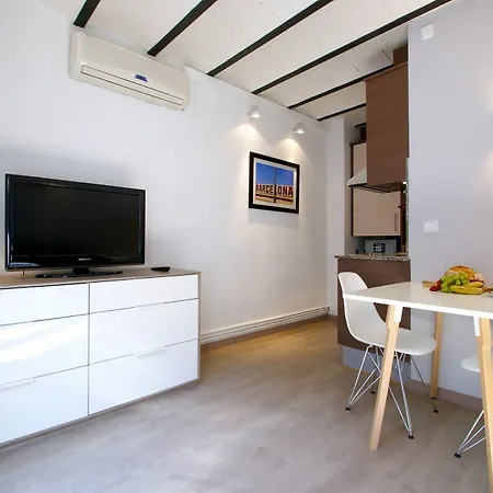 Appartement Borne Down Town *
