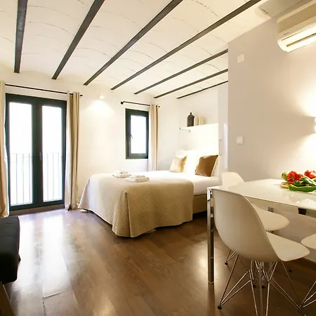 Appartement Borne Down Town *