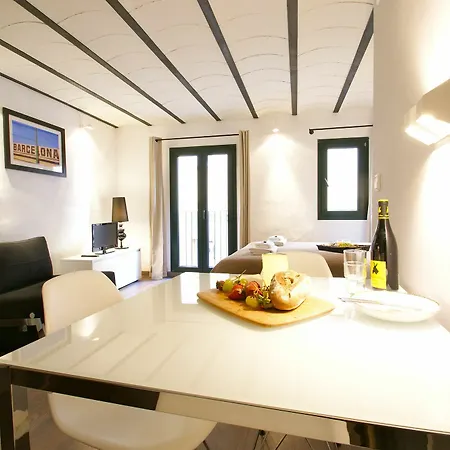 Appartement Borne Down Town *
