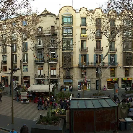 Flores Ramblas 2*