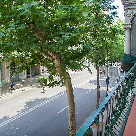 Sweett - Sants