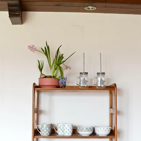 Landhaus Can Riera *