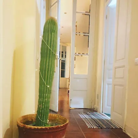 Green Door Gracia Homestay Barcelona