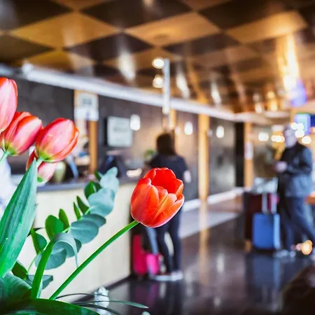Western Alfa Aeropuerto 4*
