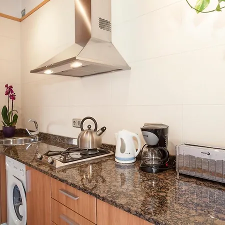 Bcngotic 50 Apartment *