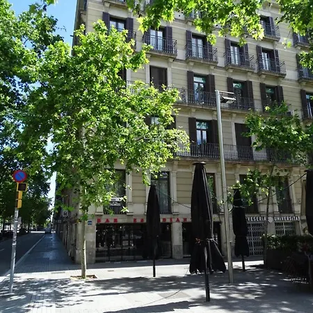 The 592 - Adults Only 3*