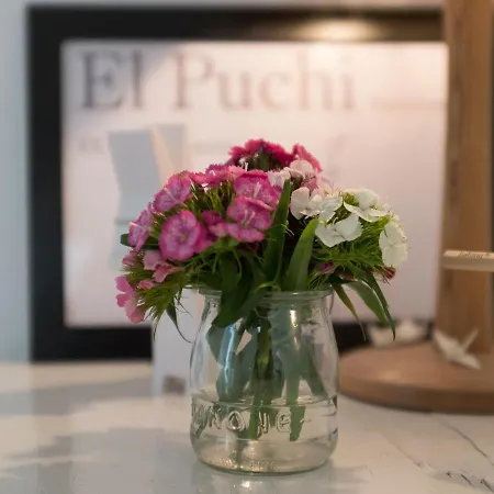 El Puchi