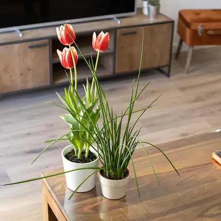Lucasland Apartamento Barcelona