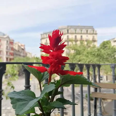 Casa Consell Gran Via, Πανσιόν Βαρκελώνη
