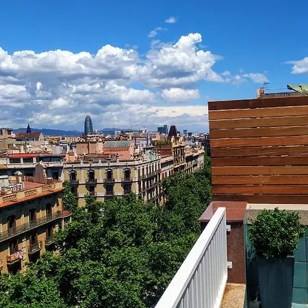Elegant Olle Barcellona