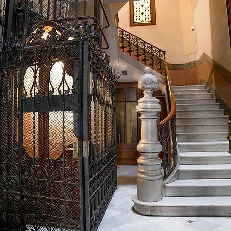 Cami Gallery
