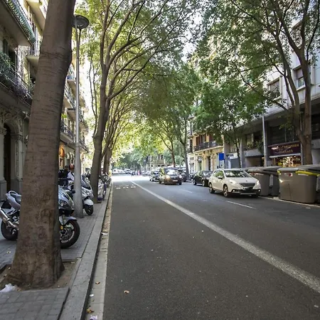 Διαμέρισμα 51flo1024 -well Located In Sant Antoni Βαρκελώνη