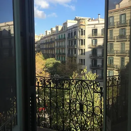 Coimpact Coliving Mallorca Hostel