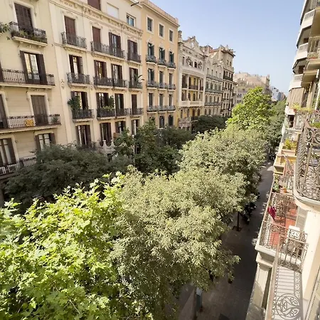 Coimpact Coliving Mallorca Hostel *