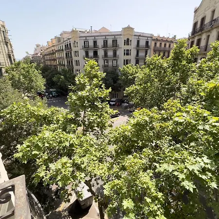 Coimpact Coliving Mallorca Barselona