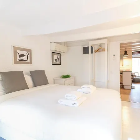 Precioso Apartamento En Mercat Sant Antoni Barselona