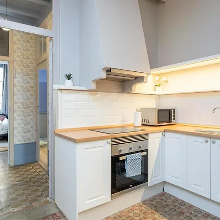 Apartment Luxurious-historical With Terrace