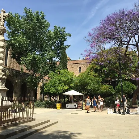 Bcn Gasthuis *