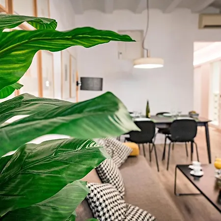 Appartement Habitat Born *