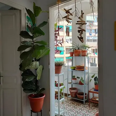 Apartment Pequeno Y Encantador Oasis En *