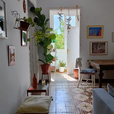 Apartment Pequeno Y Encantador Oasis En *