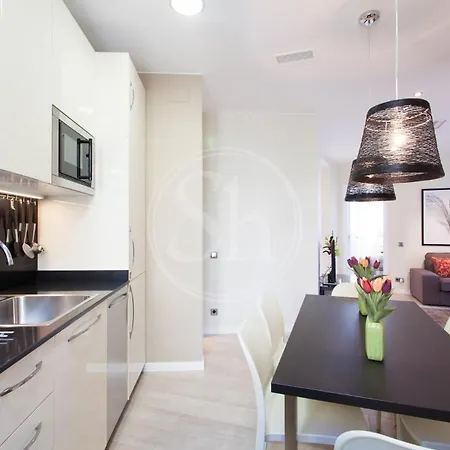 Apartamento Familiar En Avenida Gaudi Barcelona