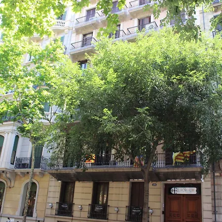 New Flat In The Center-eixample Passeig De Gracia Apartment Barcelona