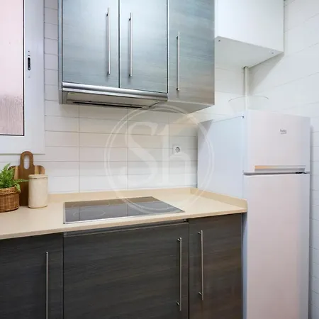 Apartment Centrico *