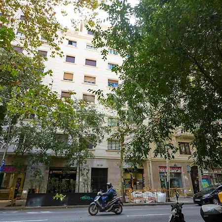 Apartment Centrico