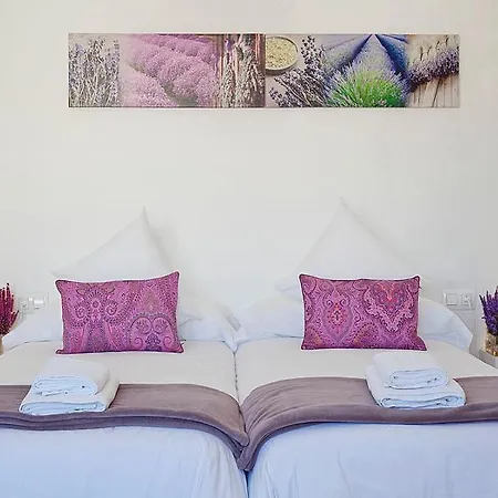 Hotel Charm Paralel