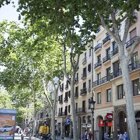 Appartamento Paseo De Gracia Pdg *