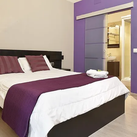 Hotel Brustar Centric