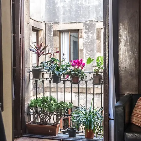 Casa de hóspedes Mariluz 2*