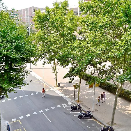 Auditori برشلونة