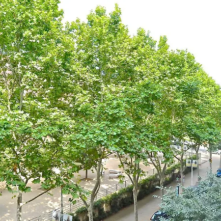 Auditori * برشلونة