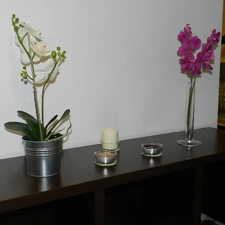 Appartement Travessera Parc Gueell
