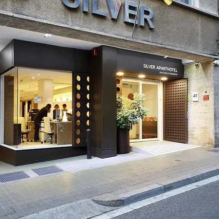 Отель Silver 3*