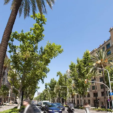 Rent Diagonal-aribau Barcelona