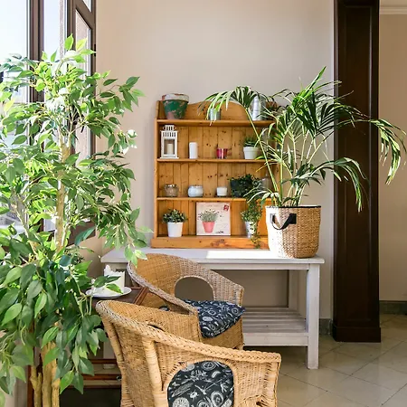 Placa Universitat Apartment *