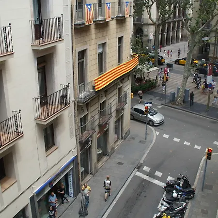 Mimi Ramblas Barcelona