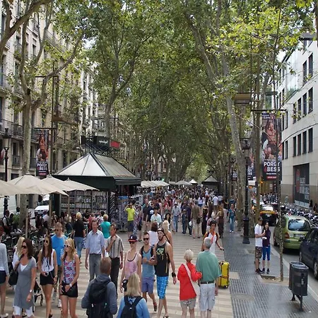 Mimi Ramblas Penzion