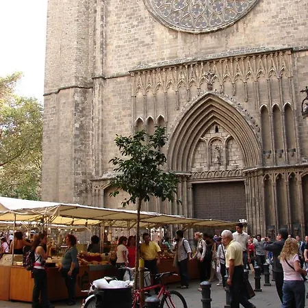 Fina Barcellona
