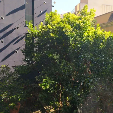 Ohla Otel 5*