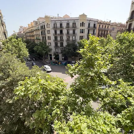 Coimpact Coliving Mallorca Hostel