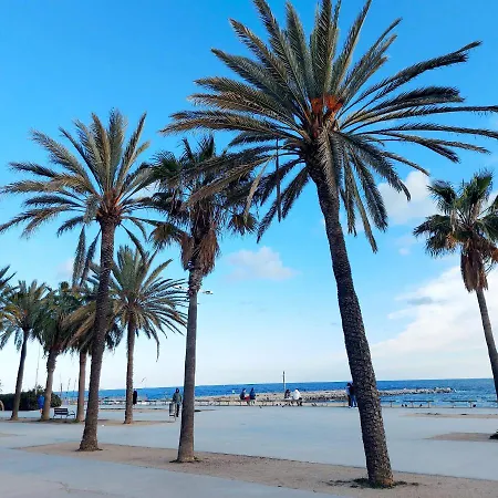 Confort En Playa, 3 Drm アパート