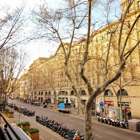Paraiso Barcelona